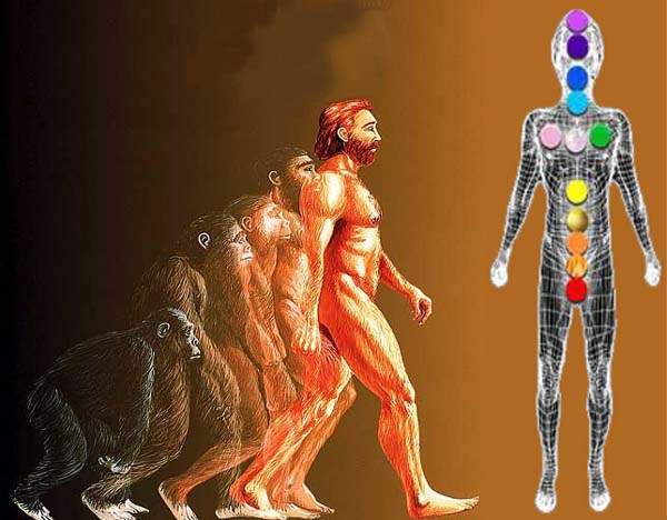 evolution